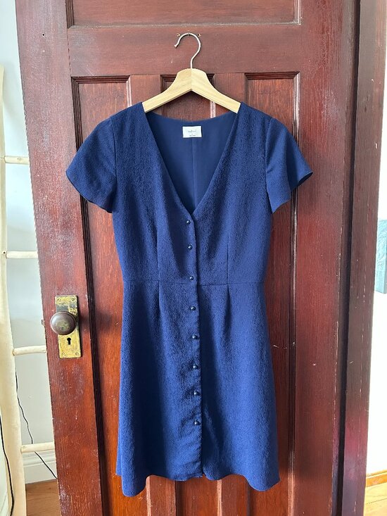 Wilfred Dresses & Skirts - Wilfred Button Dress - Size 4